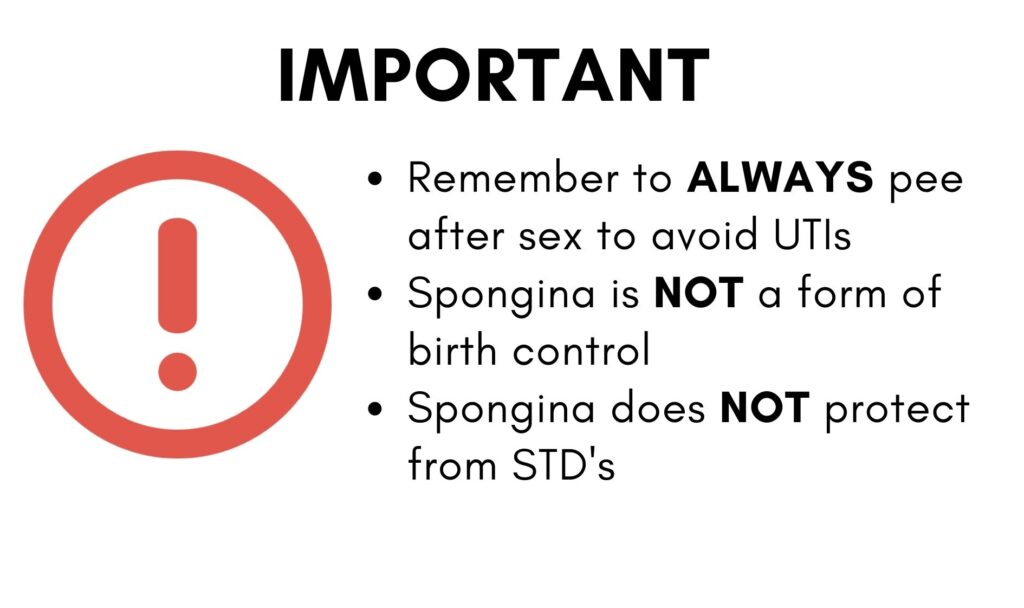 Spongina - After Sex Cleanup solution